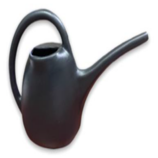 2L Watering Can - Pack of 4