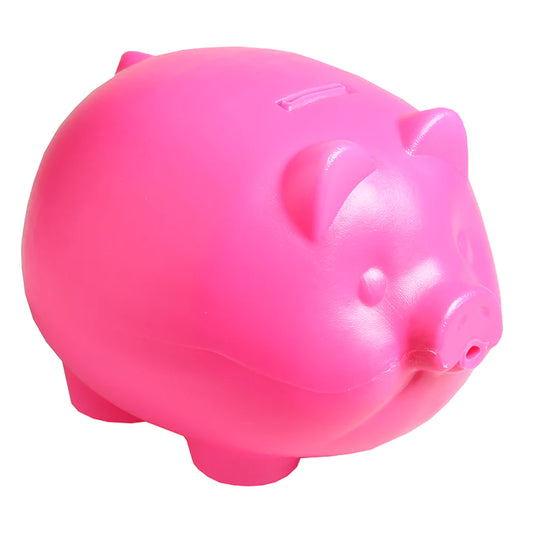 Jumbo Piggy Bank - Pack of 20